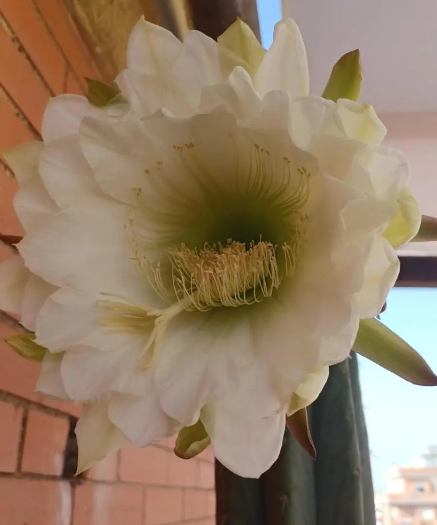 Pm 10 Via Della Santabarbara Guest House Lido di Ostia Apartment